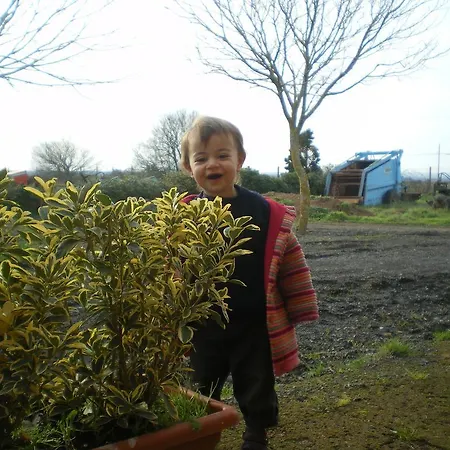 Alloggio per agriturismo Bicoca - Casaletti Viterbo