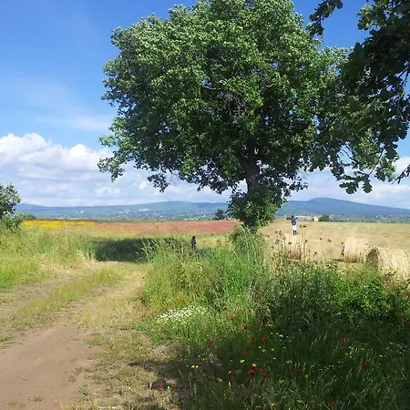 Alloggio per agriturismo Bicoca - Casaletti