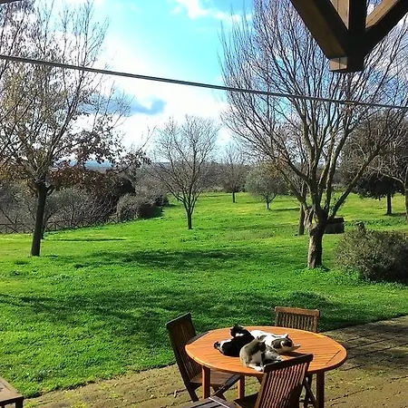 Bicoca - Casaletti Farma